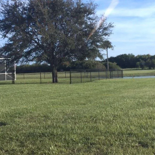 Scenic view of tree near water and fence