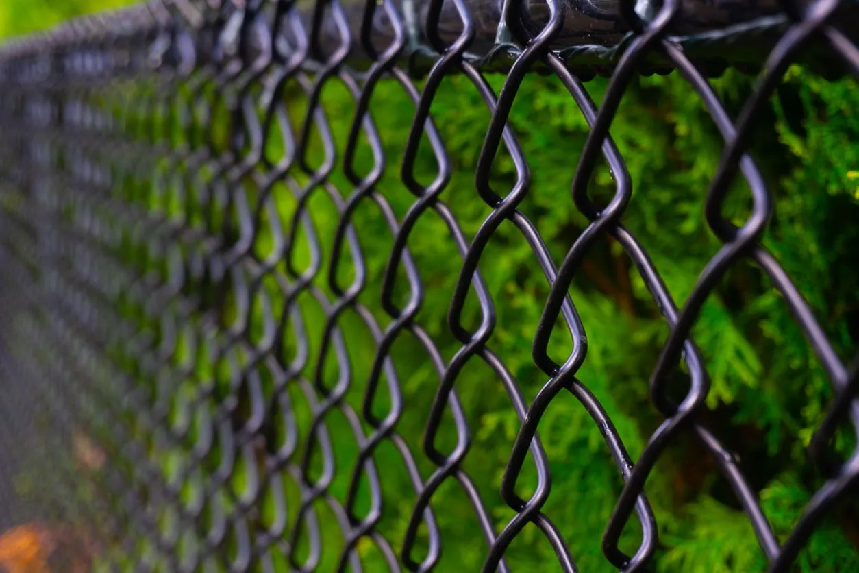 Chain link fence with green background