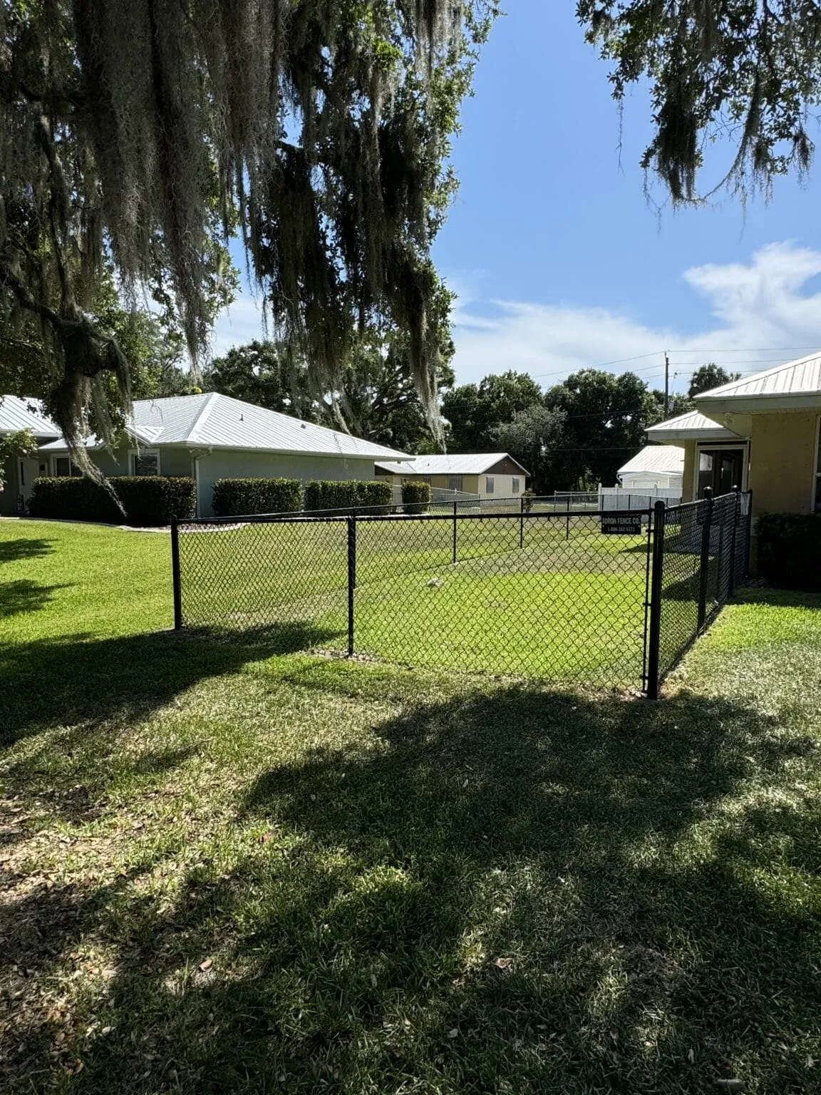 Chain-link fence in sunny backyard