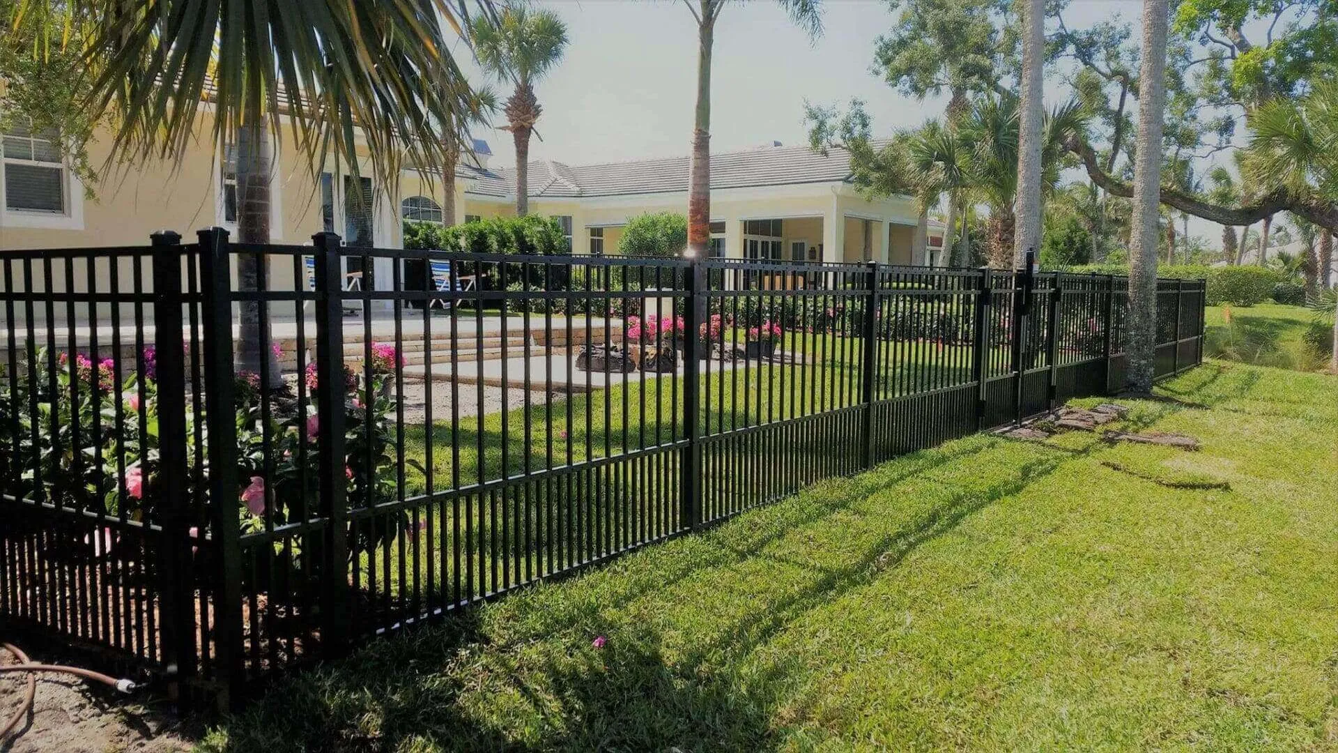 Sunny backyard with black fence