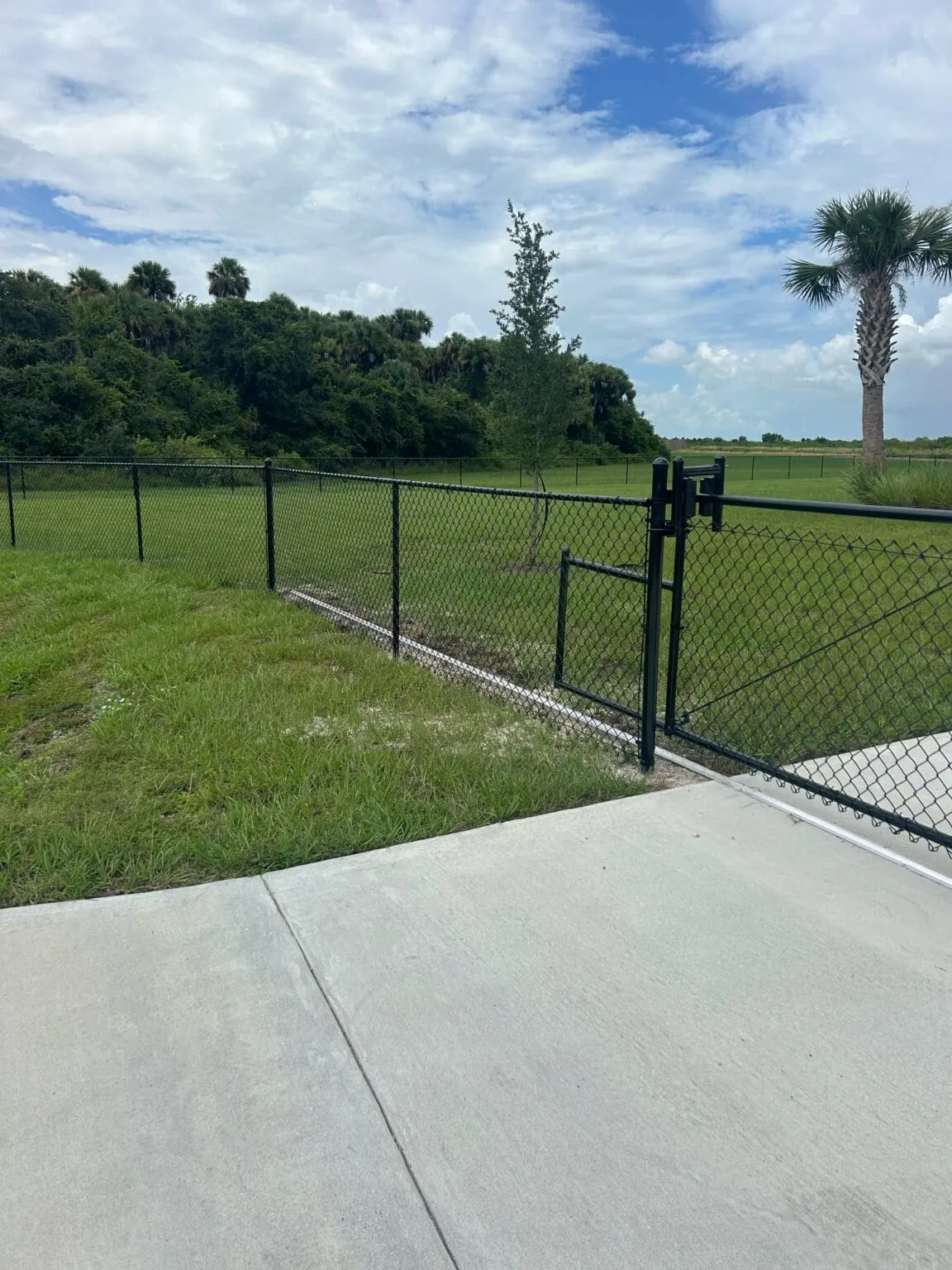 Chain-link fence and grassy field