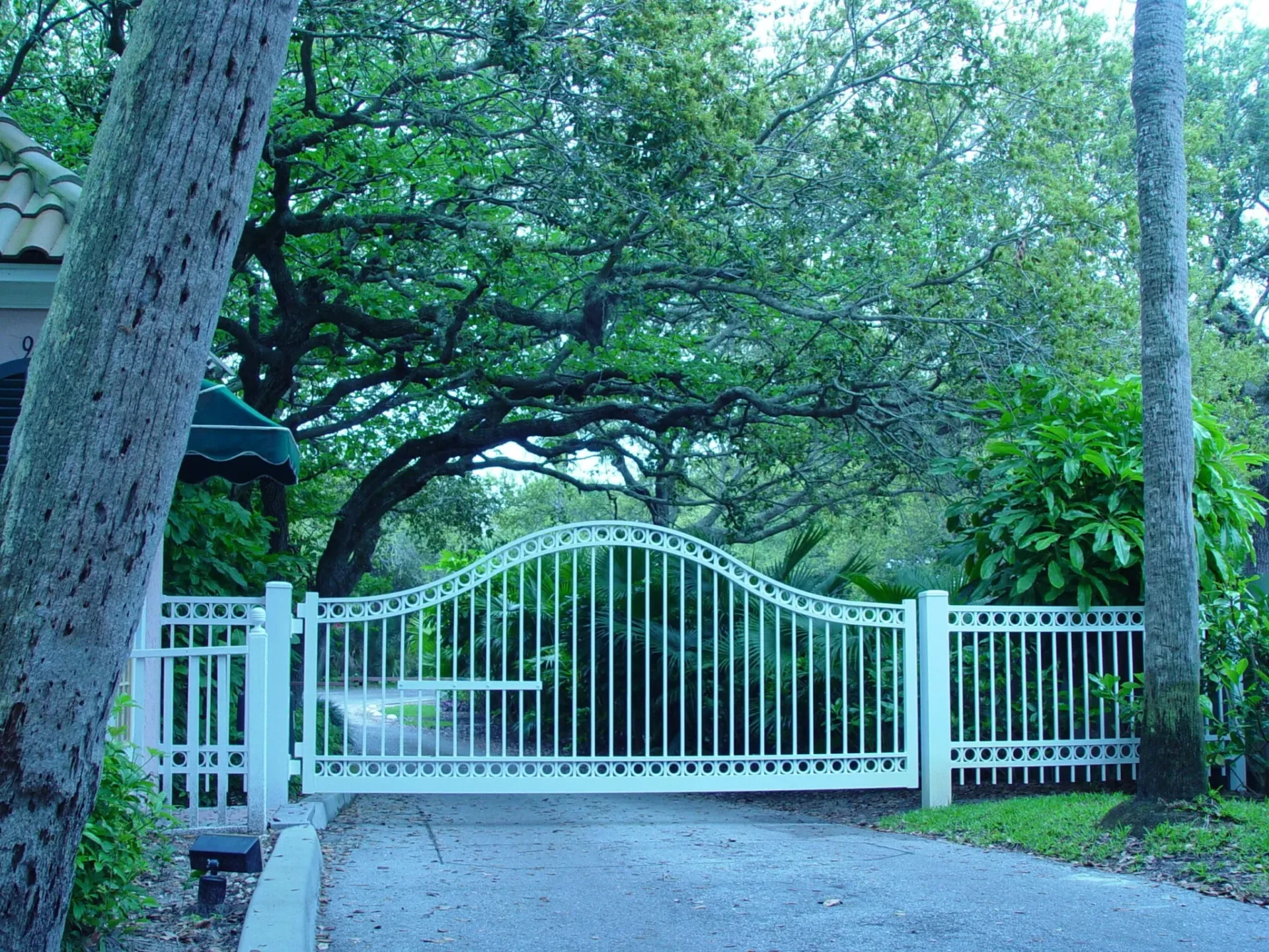 White gate surrounded by lush greenery