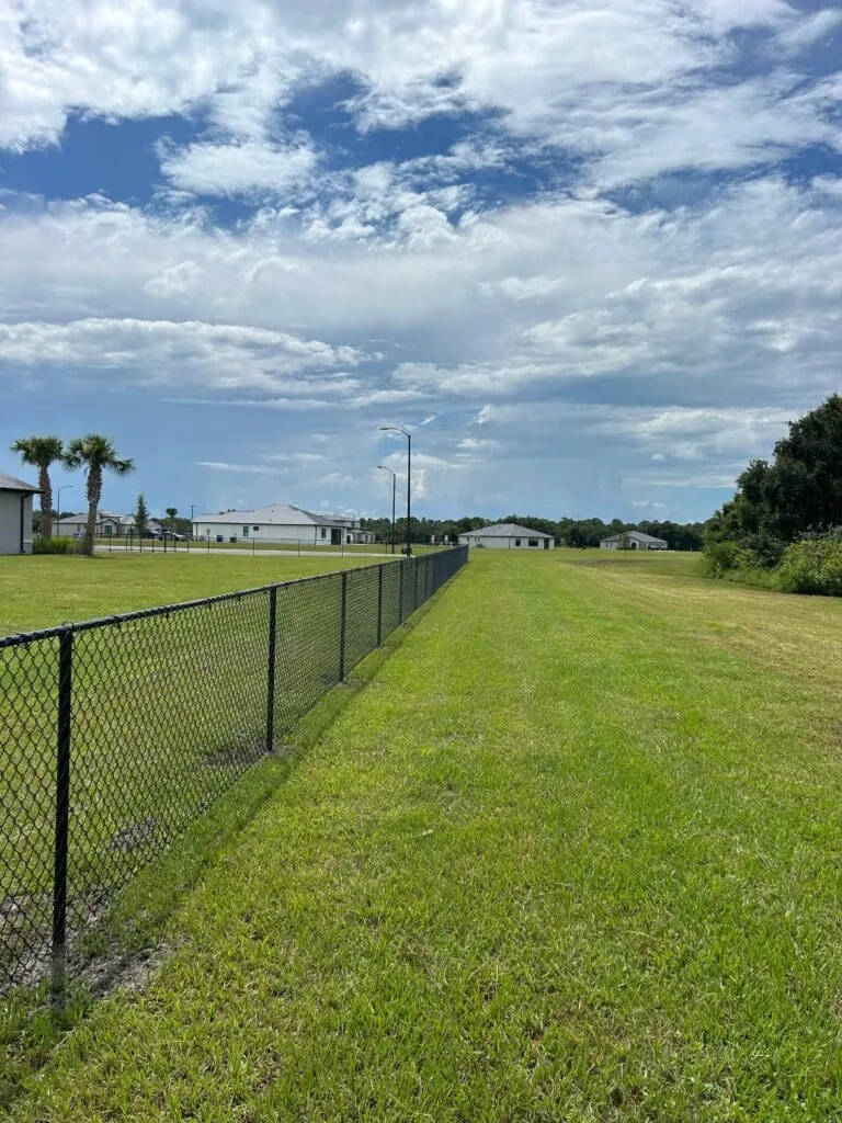 Fence dividing two grassy areas